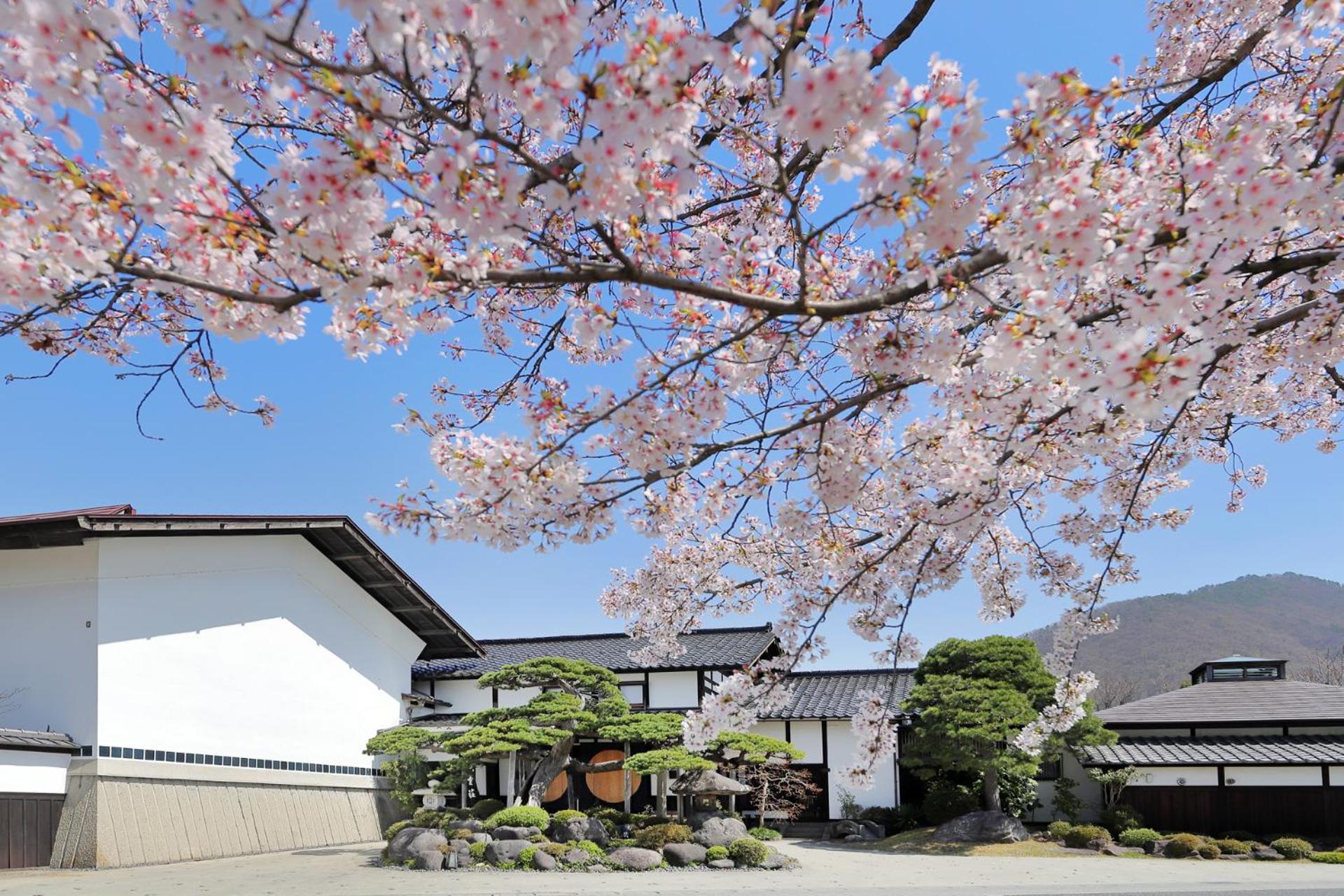 天童荘 Tendoso Hotel Exterior photo